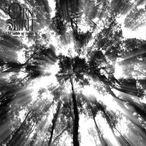 111 - Orn Spirit - Tel' Lindale em' Sarithin Vol1