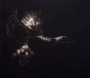 202 - The Quartet Of Woah - The Quartet Of Woah